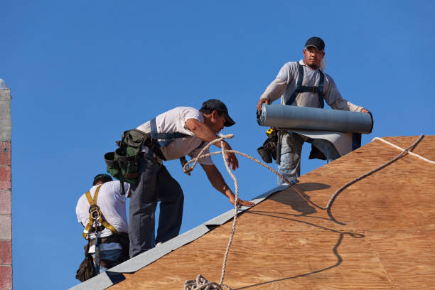 Best Flat Roof Repair Services  in Lena, IL